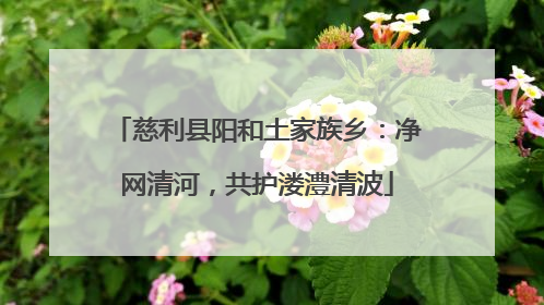 慈利县阳和土家族乡：净网清河，共护溇澧清波