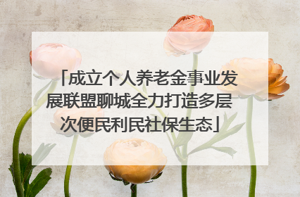 成立个人养老金事业发展联盟聊城全力打造多层次便民利民社保生态
