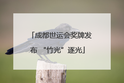成都世运会奖牌发布 “竹光”逐光