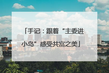 手记：跟着“主委进小岛”感受共富之美