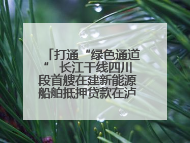 打通“绿色通道” 长江干线四川段首艘在建新能源船舶抵押贷款在泸州落地
