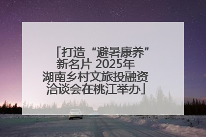 打造“避暑康养”新名片 2025年湖南乡村文旅投融资洽谈会在桃江举办