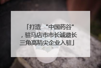 打造 “中国药谷”，驻马店市市长诚邀长三角高精尖企业入驻