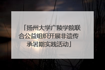 扬州大学广陵学院联合公益组织开展非遗传承暑期实践活动