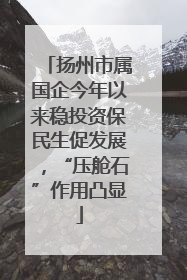 扬州市属国企今年以来稳投资保民生促发展，“压舱石”作用凸显