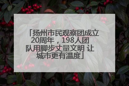 扬州市民观察团成立20周年，198人团队用脚步丈量文明 让城市更有温度