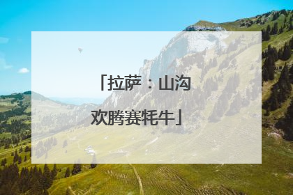 拉萨：山沟欢腾赛牦牛