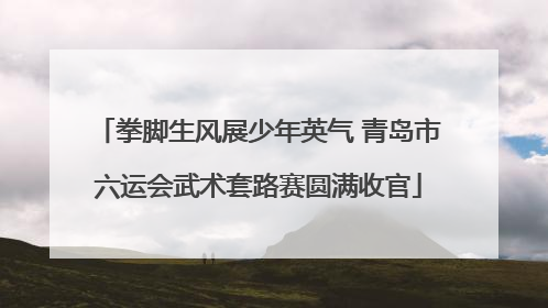 拳脚生风展少年英气 青岛市六运会武术套路赛圆满收官