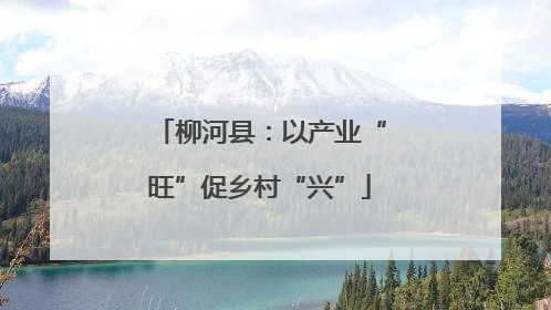 柳河县：以产业“旺”促乡村“兴”
