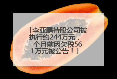 李亚鹏持股公司被执行约244万元，一个月前因欠税561万元被公告！
