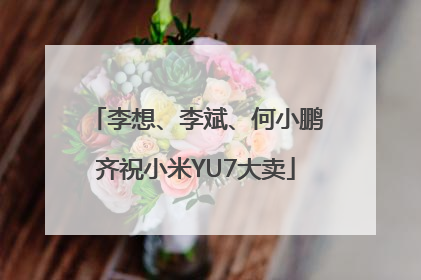 李想、李斌、何小鹏齐祝小米YU7大卖