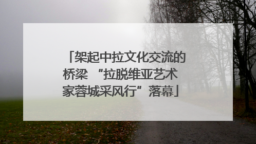 架起中拉文化交流的桥梁 “拉脱维亚艺术家蓉城采风行”落幕