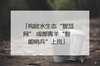 构建水生态“智慧网” 成都青羊“智能哨兵”上岗