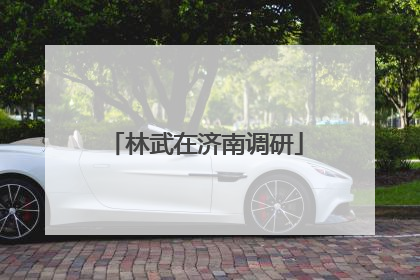 林武在济南调研