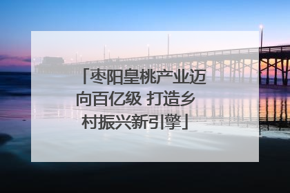 枣阳皇桃产业迈向百亿级 打造乡村振兴新引擎