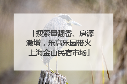 搜索量翻番、房源激增，乐高乐园带火上海金山民宿市场