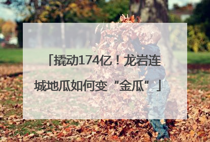 撬动174亿！龙岩连城地瓜如何变“金瓜”