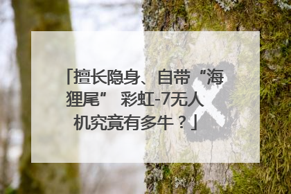 擅长隐身、自带“海狸尾” 彩虹-7无人机究竟有多牛？