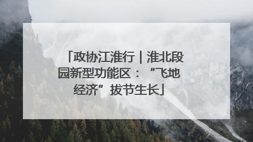 政协江淮行｜淮北段园新型功能区：“飞地经济”拔节生长