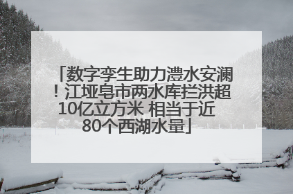数字孪生助力澧水安澜！江垭皂市两水库拦洪超10亿立方米 相当于近80个西湖水量