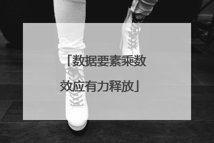 数据要素乘数效应有力释放