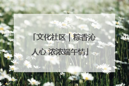 文化社区｜粽香沁人心 浓浓端午情