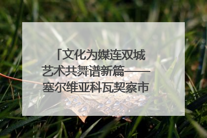 文化为媒连双城 艺术共舞谱新篇——塞尔维亚科瓦契察市代表团访问日照