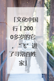 文化中国行丨2000多岁的它，“飞”进了寻常百姓家