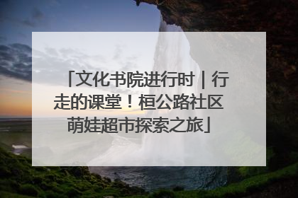 文化书院进行时｜行走的课堂！桓公路社区萌娃超市探索之旅