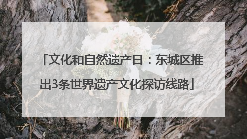 文化和自然遗产日：东城区推出3条世界遗产文化探访线路