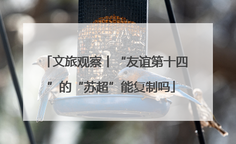文旅观察丨“友谊第十四”的“苏超”能复制吗