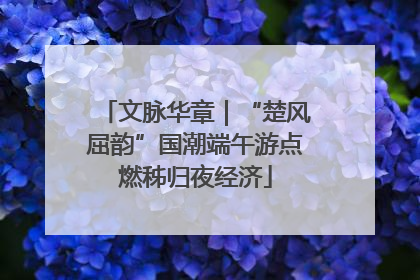 文脉华章｜“楚风屈韵”国潮端午游点燃秭归夜经济