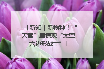 新知｜新物种！“天宫”里惊现“太空六边形战士”
