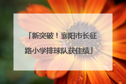 新突破！襄阳市长征路小学排球队获佳绩