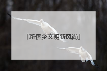 新侨乡文明新风尚