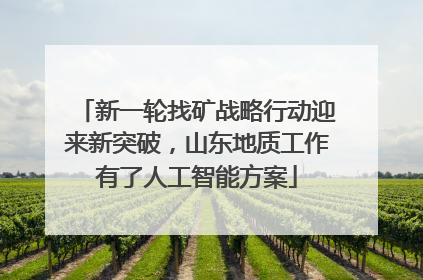 新一轮找矿战略行动迎来新突破，山东地质工作有了人工智能方案