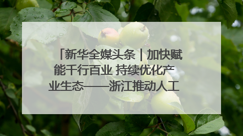 新华全媒头条｜加快赋能千行百业 持续优化产业生态——浙江推动人工智能健康有序发展观察