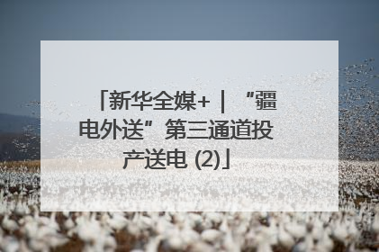 新华全媒+｜“疆电外送”第三通道投产送电 (2)
