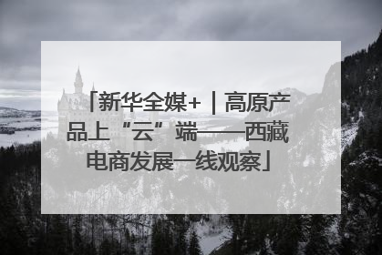 新华全媒+｜高原产品上“云”端——西藏电商发展一线观察