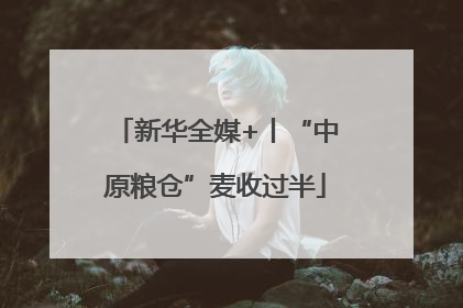 新华全媒+丨“中原粮仓”麦收过半