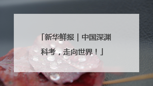 新华鲜报｜中国深渊科考，走向世界！