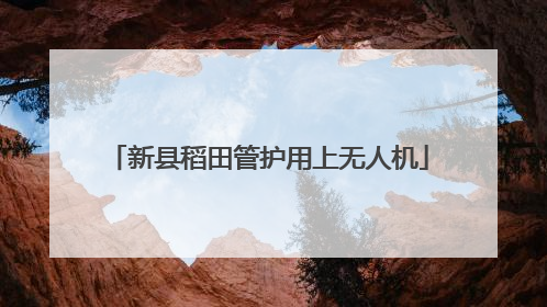 新县稻田管护用上无人机