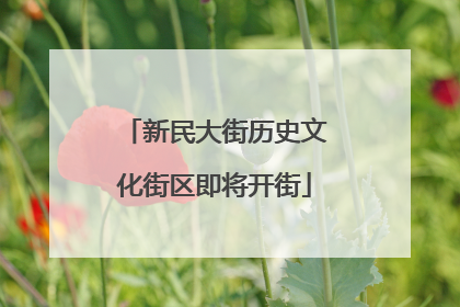 新民大街历史文化街区即将开街