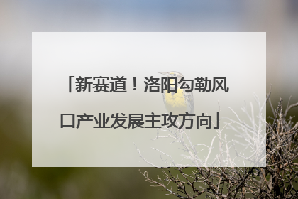 新赛道！洛阳勾勒风口产业发展主攻方向