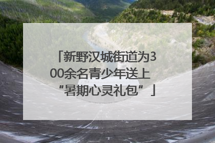 新野汉城街道为300余名青少年送上“暑期心灵礼包”