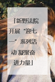 新野法院开展“迎七一”系列活动 凝聚奋进力量