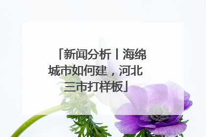 新闻分析丨海绵城市如何建，河北三市打样板