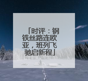 时评：钢铁丝路连欧亚，班列飞驰启新程