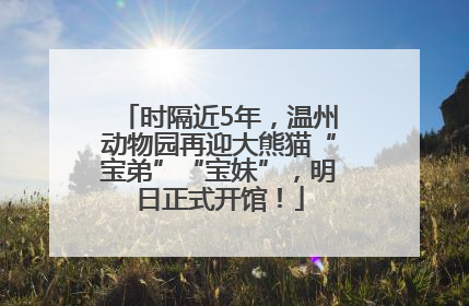 时隔近5年，温州动物园再迎大熊猫“宝弟”“宝妹”，明日正式开馆！