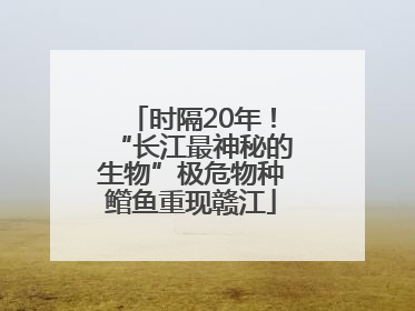 时隔20年！“长江最神秘的生物”极危物种鳤鱼重现赣江